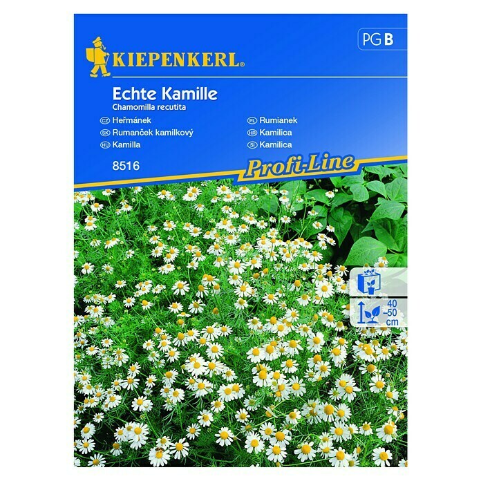 Kiepenkerl Profi-Line Sjeme cvijeća Kamilica  (Chamomilla recutita, Bijela) | BAUHAUS