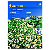 Kiepenkerl Profi-Line Sjeme cvijeća Kamilica  (Chamomilla recutita, Bijela) | BAUHAUS
