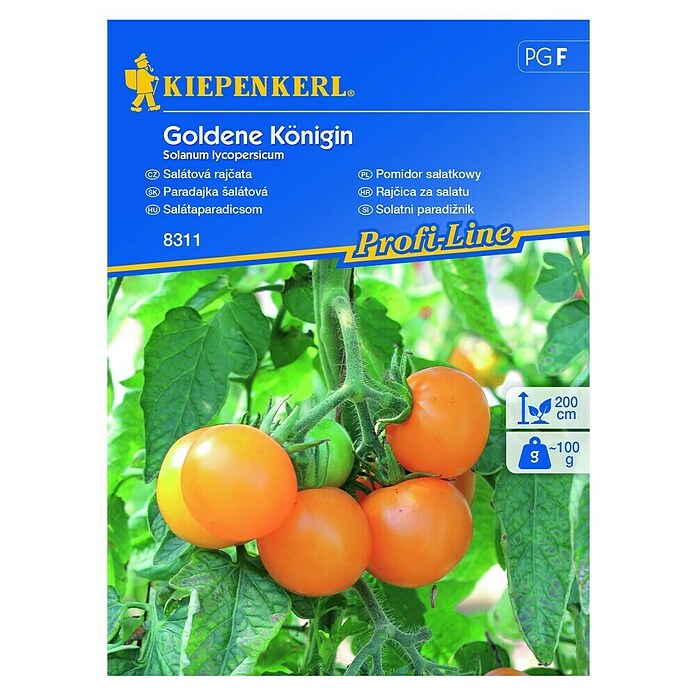 Kiepenkerl Zelenjavna semena solatni paradižnik Goldene Königin  (Solanum lycopersicum, Čas žetve: Julij) | 8127 - Feinsämereien in PG Marke | IBYA - Sämereien | IBY - Sämereien | IB - Grünpflanzen/Sämereien | I - Stadtgarten | BAUHAUS