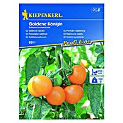 Kiepenkerl Zelenjavna semena solatni paradižnik Goldene Königin  (Solanum lycopersicum, Čas žetve: Julij) | 8127 - Feinsämereien in PG Marke | IBYA - Sämereien | IBY - Sämereien | IB - Grünpflanzen/Sämereien | I - Stadtgarten | BAUHAUS