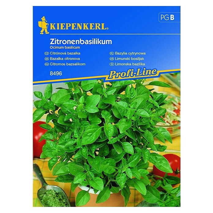 Kiepenkerl Profi-Line Sjeme začinskog bilja Limunski bosiljak  (Ocimum basilicum, Vrijeme sjetve: Veljača, Berba: Lipanj) | BAUHAUS