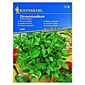 Kiepenkerl Profi-Line Sjeme začinskog bilja Limunski bosiljak  (Ocimum basilicum, Vrijeme sjetve: Veljača, Berba: Lipanj) | BAUHAUS