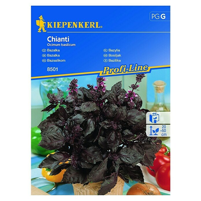 Kiepenkerl Profi-Line Sjeme začinskog bilja Crveni bosiljak Chianti  (Ocimum basilicum, Vrijeme sjetve: Veljača, Berba: Srpanj) | BAUHAUS