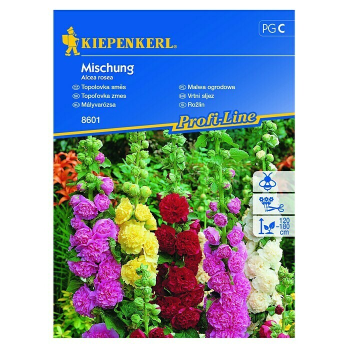 Kiepenkerl Profi-Line Sjeme cvijeća Vrtni sljez Mix  (Alcea rosea, Mješovita) | BAUHAUS