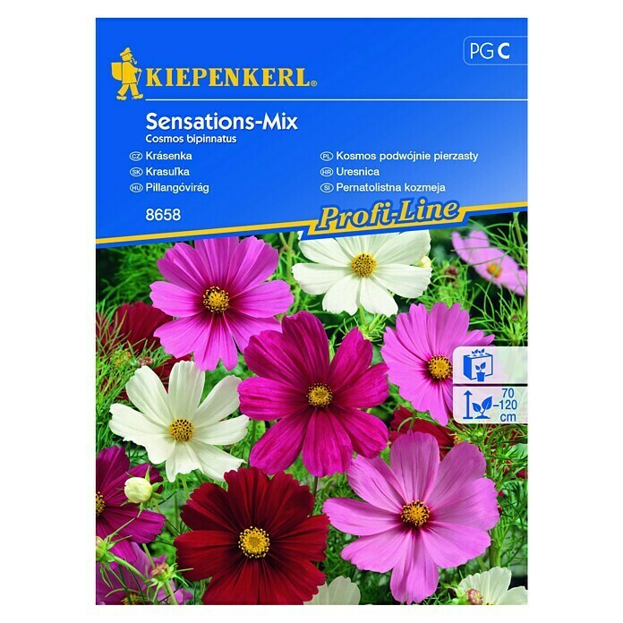 Kiepenkerl Profi-Line Sjeme cvijeća Uresnica Sensations-Mix  (Cosmos bipinnatus, Raznobojno) | BAUHAUS