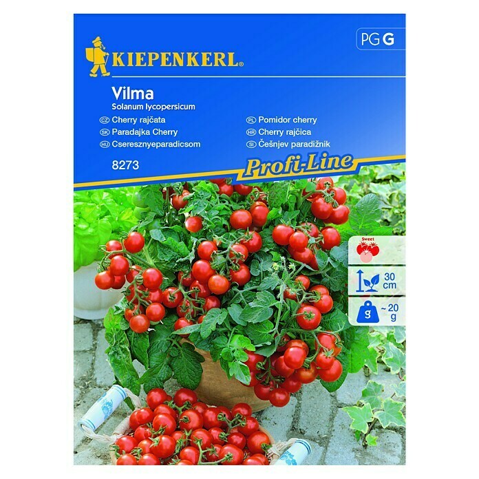 Kiepenkerl Sjeme povrća rajčica Vilma  (Solanum lycopersicum, Berba: Srpanj) | BAUHAUS