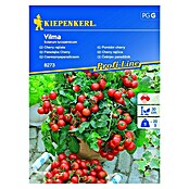 Kiepenkerl Sjeme povrća rajčica Vilma  (Solanum lycopersicum, Berba: Srpanj) | BAUHAUS