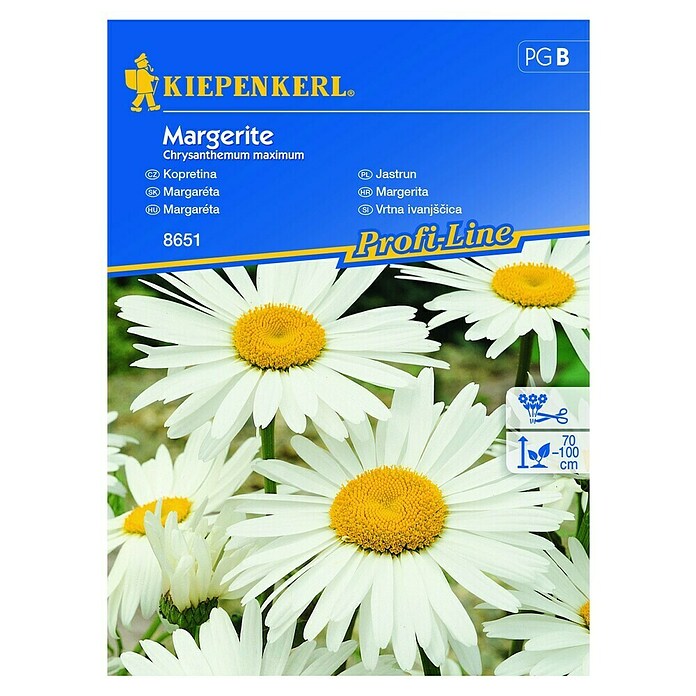 Kiepenkerl Profi-Line Cvetlična semena Vrtna ivanjščica  (Chrysantemum maximum, Bela, Rumena) | 8127 - Feinsämereien in PG Marke | IBYA - Sämereien | IBY - Sämereien | IB - Grünpflanzen/Sämereien | I - Stadtgarten | BAUHAUS