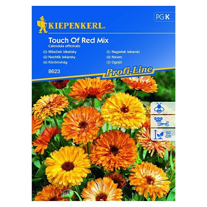 Kiepenkerl Profi-Line Sjeme cvijeća Neven Touch of red Mix  (Calendula officinalis, Narančasta, Crvena) | BAUHAUS
