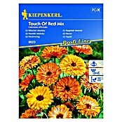 Kiepenkerl Profi-Line Sjeme cvijeća Neven Touch of red Mix  (Calendula officinalis, Narančasta, Crvena) | BAUHAUS