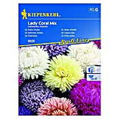 Kiepenkerl Profi-Line Cvetlična semena Vrtna astra Lady Coral Mix  (Callistephus chinesis, Različne barve) | 8127 - Feinsämereien in PG Marke | IBYA - Sämereien | IBY - Sämereien | IB - Grünpflanzen/Sämereien | I - Stadtgarten | BAUHAUS