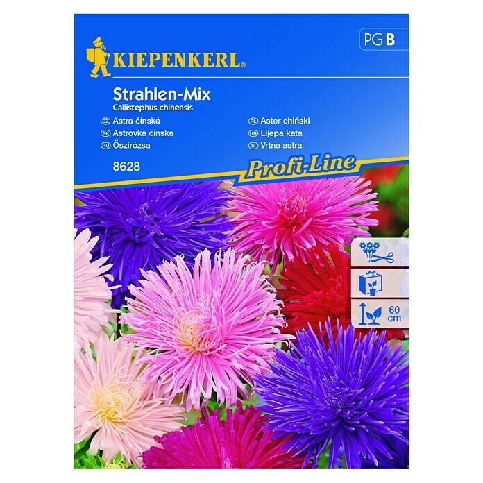 Kiepenkerl Profi-Line Cvetlična semena Vrtna astra Strahlen Mix  (Callistephus chinensis, Različne barve) | 8127 - Feinsämereien in PG Marke | IBYA - Sämereien | IBY - Sämereien | IB - Grünpflanzen/Sämereien | I - Stadtgarten | BAUHAUS