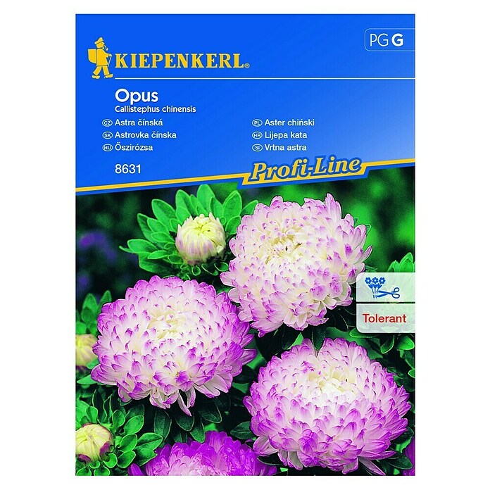 Kiepenkerl Profi-Line Sjeme cvijeća Lijepa kata Opus  (Callistephus chinesis, Roza, Bijela) | BAUHAUS