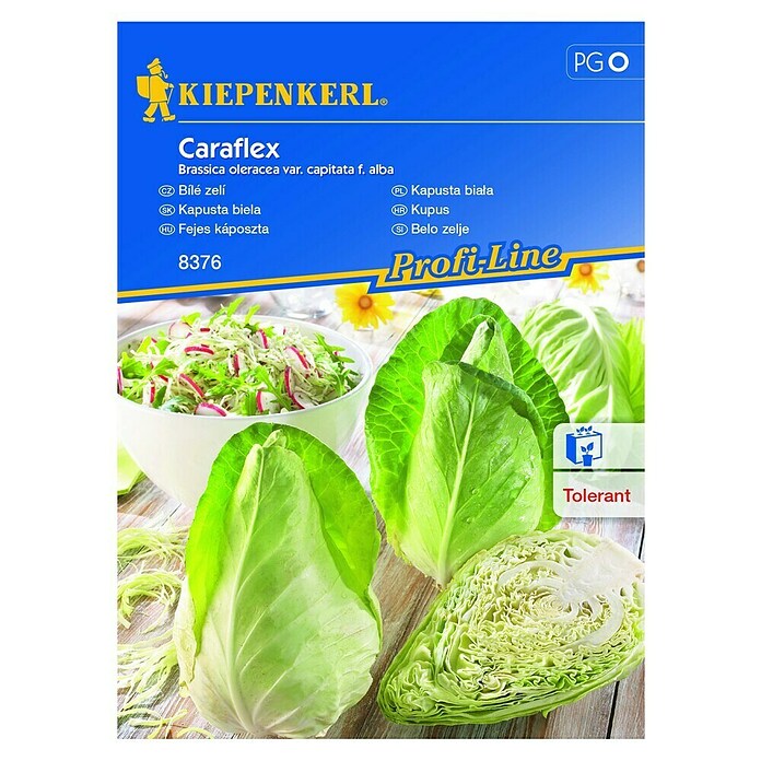 Kiepenkerl Profi-Line Zelenjavna semena belo zelje Caraflex  (Brassica oleracea var. capitata f. alba, Čas žetve: Junij) | 8127 - Feinsämereien in PG Marke | IBYA - Sämereien | IBY - Sämereien | IB - Grünpflanzen/Sämereien | I - Stadtgarten | BAUHAUS