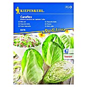 Kiepenkerl Profi-Line Zelenjavna semena belo zelje Caraflex  (Brassica oleracea var. capitata f. alba, Čas žetve: Junij) | 8127 - Feinsämereien in PG Marke | IBYA - Sämereien | IBY - Sämereien | IB - Grünpflanzen/Sämereien | I - Stadtgarten | BAUHAUS
