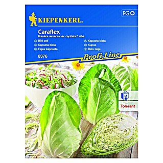 Kiepenkerl Profi-Line Zelenjavna semena belo zelje Caraflex (Brassica oleracea var. capitata f. alba, Čas žetve: Junij)