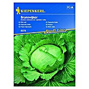 Kiepenkerl Profi-Line Sjeme povrća Kupus Brunswijker  (Brassica oleracea var. capitata f. alba, Berba: Srpanj) | BAUHAUS