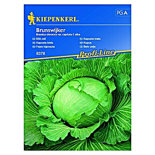 Kiepenkerl Profi-Line Zelenjavna semena belo zelje Brunswijker (Brassica oleracea var. capitata f. alba, Čas žetve: Julij)