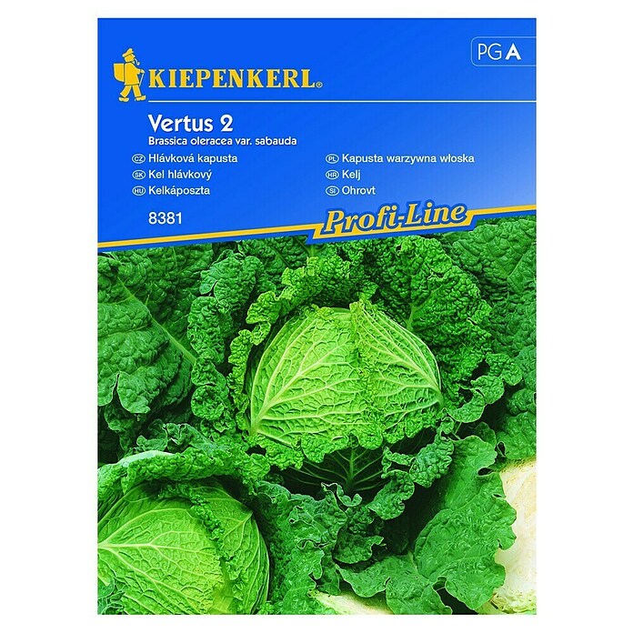 Kiepenkerl Profi-Line Sjeme povrća Kelj Vertus 2  (Brassica oleracea var. sabauda, Berba: Rujan) | BAUHAUS