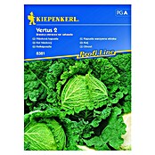 Kiepenkerl Profi-Line Sjeme povrća Kelj Vertus 2  (Brassica oleracea var. sabauda, Berba: Rujan) | BAUHAUS