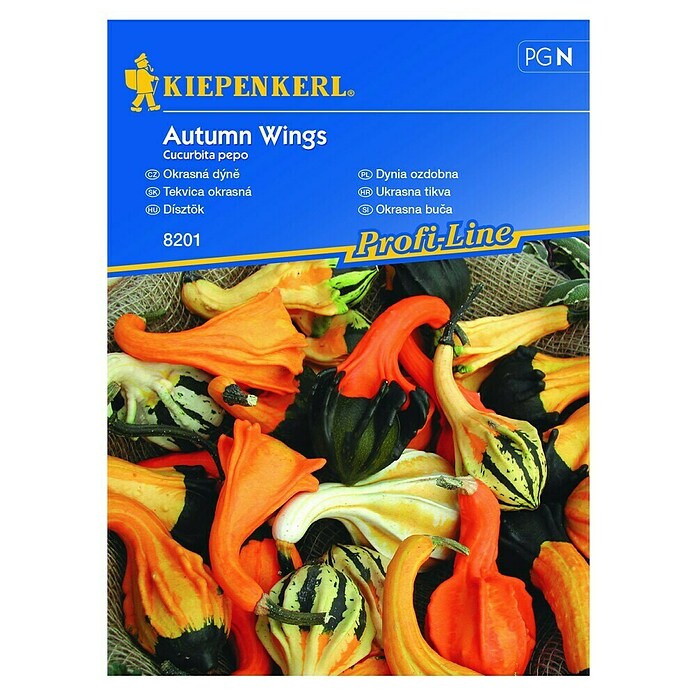Kiepenkerl Profi-Line Zelenjavna semena buč Autumn Wings  (Cucurbita pepo, Čas žetve: September) | 8127 - Feinsämereien in PG Marke | IBYA - Sämereien | IBY - Sämereien | IB - Grünpflanzen/Sämereien | I - Stadtgarten | BAUHAUS