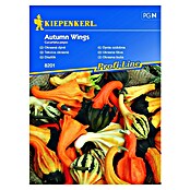 Kiepenkerl Profi-Line Zelenjavna semena buč Autumn Wings  (Cucurbita pepo, Čas žetve: September) | 8127 - Feinsämereien in PG Marke | IBYA - Sämereien | IBY - Sämereien | IB - Grünpflanzen/Sämereien | I - Stadtgarten | BAUHAUS