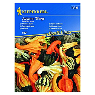Kiepenkerl Profi-Line Sjeme povrća ukrasna tikva Autumn Wings (Cucurbita pepo, Berba: Rujan)