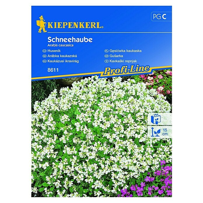 Kiepenkerl Profi-Line Sjeme cvijeća Gušarka Schneehaube  (Arabis Caucasica, Bijela) | BAUHAUS