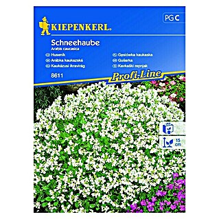Kiepenkerl Profi-Line Cvetlična semena Kavkaški repnjak (Arabis Caucasica, Bela)