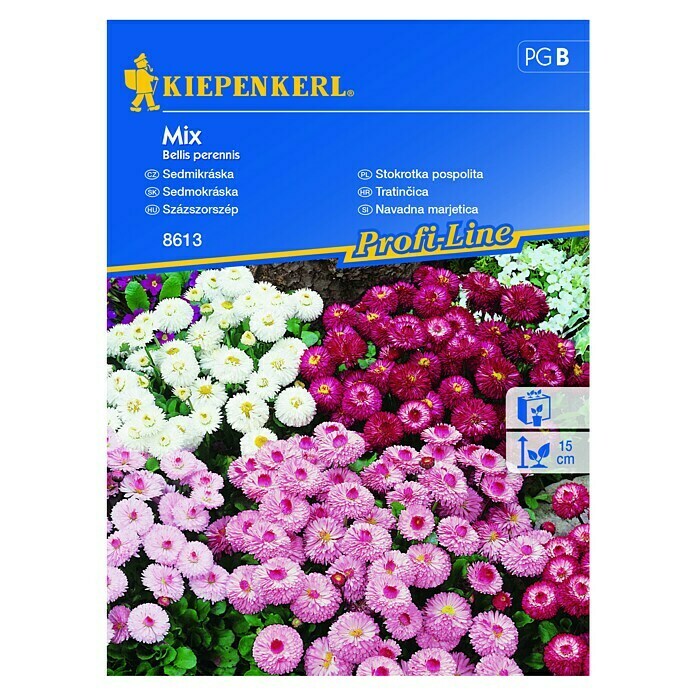Kiepenkerl Profi-Line Cvetlična semena Navadna marjetica mix  (Bellis perennis, Različne barve) | 8127 - Feinsämereien in PG Marke | IBYA - Sämereien | IBY - Sämereien | IB - Grünpflanzen/Sämereien | I - Stadtgarten | BAUHAUS