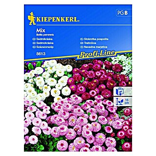 Kiepenkerl Profi-Line Cvetlična semena Navadna marjetica mix (Bellis perennis, Različne barve)