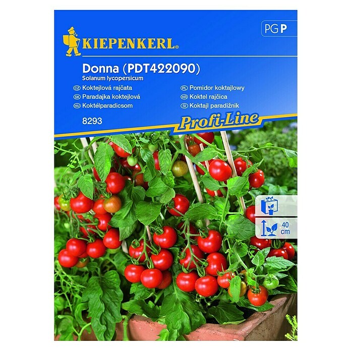 Kiepenkerl Sjeme povrća rajčica Donna  (Solanum lycopersicum, Berba: Srpanj) | BAUHAUS