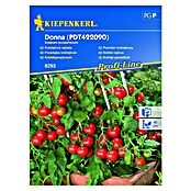 Kiepenkerl Sjeme povrća rajčica Donna  (Solanum lycopersicum, Berba: Srpanj) | BAUHAUS