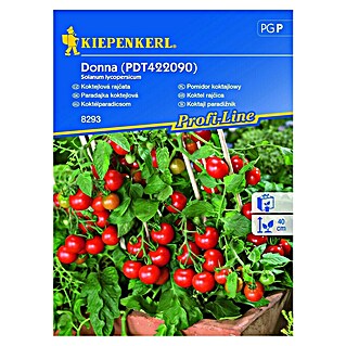 Kiepenkerl Zelenjavna semena koktajl paradižnik Donna (Solanum lycopersicum, Čas žetve: Julij)