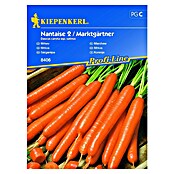 Kiepenkerl Profi-Line Sjeme povrća Mrkva Nantaise 2  (Daucus carota ssp. sativus, Berba: Srpanj, 10 m²) | BAUHAUS