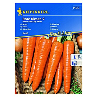Kiepenkerl Profi-Line Zelenjavna semena korenje Rote Riesen 2 (Čas žetve: September, 10 m²)