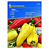 Kiepenkerl Sjeme povrća paprika Zlata  (Capsicum annuum, Berba: Kolovoz) | BAUHAUS
