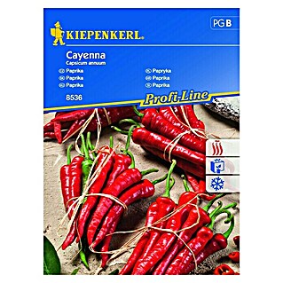 Kiepenkerl Profi-Line Zelenjavna semena Paprika Cayenna (Capiscum annum, Čas žetve: Avgust)
