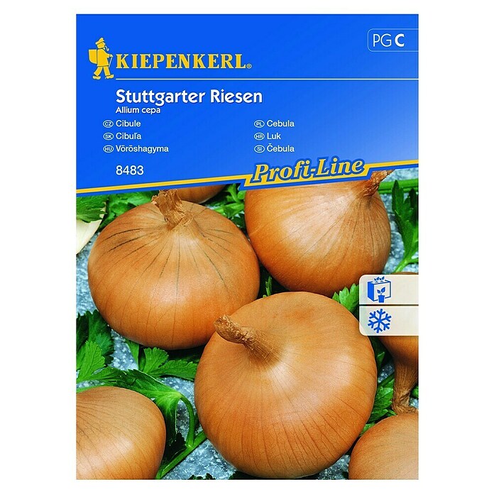 Kiepenkerl Profi-Line Sjeme povrća Luk Sttutgarter Riesen  (Allium cepa, Berba: Rujan, 6 m²) | BAUHAUS
