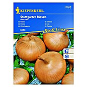 Kiepenkerl Profi-Line Sjeme povrća Luk Sttutgarter Riesen  (Allium cepa, Berba: Rujan, 6 m²) | BAUHAUS
