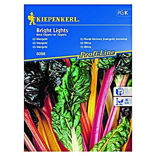 Kiepenkerl Sjeme povrća blitva Bright Lights (Beta vulgaris var. vulgaris, Vrijeme sjetve: Ožujak, Berba: Lipanj)