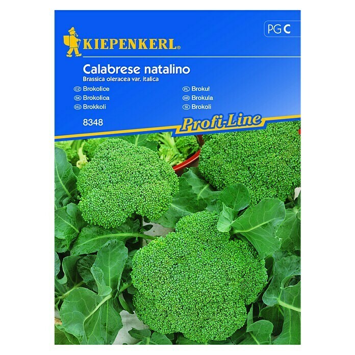 Kiepenkerl Profi-Line Sjeme povrća Brokula Calabrese Natalino  (Brassica oleracea var. italica, Berba: Srpanj) | BAUHAUS