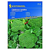 Kiepenkerl Profi-Line Sjeme povrća Brokula Calabrese Natalino  (Brassica oleracea var. italica, Berba: Srpanj) | BAUHAUS