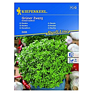 Kiepenkerl Profi-Line Zeliščna semena Bazilika (Ocimum basilicum, Čas setve: Februar, Čas žetve: Maj)