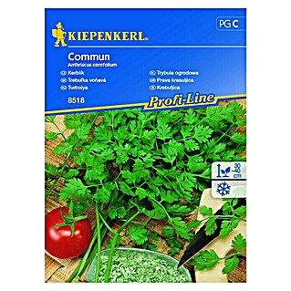 Kiepenkerl Profi-Line Zeliščna semena Krebuljica Comun (Anthriscus cerefolium, Čas setve: April, Čas žetve: April)