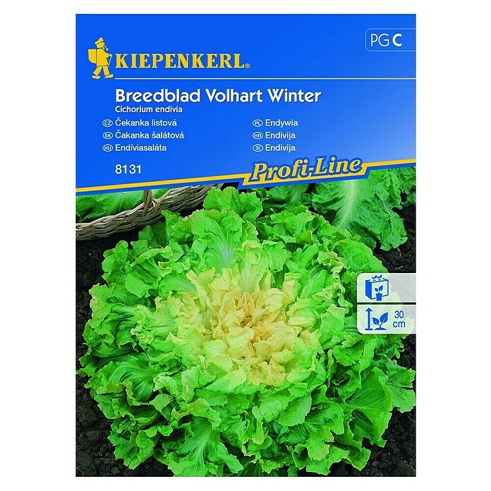 Kiepenkerl Zelenjavna semena solata endivija Breedblad Volhart Winter  (Cichorium endivia, Čas žetve: September) | 8127 - Feinsämereien in PG Marke | IBYA - Sämereien | IBY - Sämereien | IB - Grünpflanzen/Sämereien | I - Stadtgarten | BAUHAUS