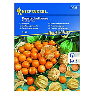 Kiepenkerl Sjeme povrća (Berba: Lipanj, Botanički opis: Physalis peruviana)