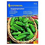Kiepenkerl Sjeme povrća krastavac Vorgebirgstrauben  (Cucumis sativus, Berba: Srpanj) | BAUHAUS