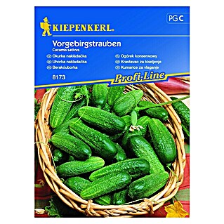 Kiepenkerl Sjeme povrća krastavac Vorgebirgstrauben (Cucumis sativus, Berba: Srpanj)