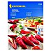 Kiepenkerl Sjeme povrća paprika Amboy 